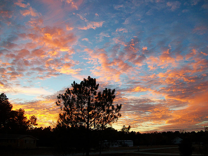 A Beautiful Sunset in Georgia Dec. 10, 2010
