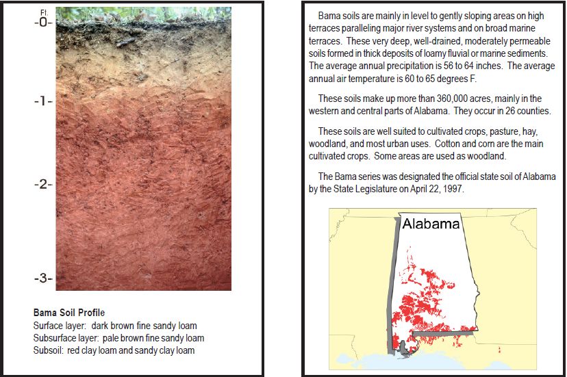 Alabama Soil
