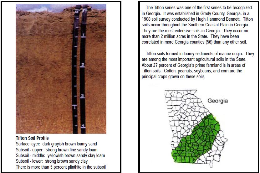 Georgia Soil